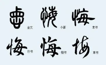 拼搏无悔青春演讲稿5篇