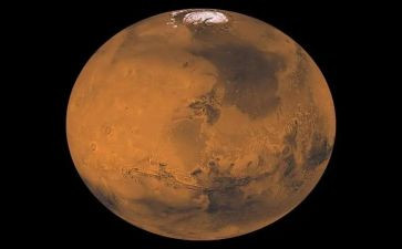 到火星去读后感5篇