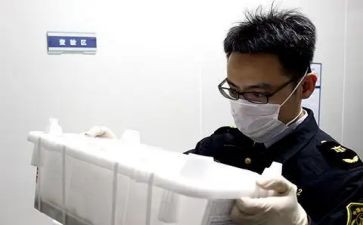 动物疫检疫工作总结6篇