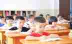 d的教学教案6篇