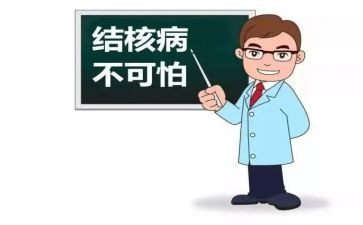 结核病防治半年工作总结5篇