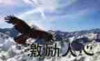 关于考前激励的演讲稿7篇