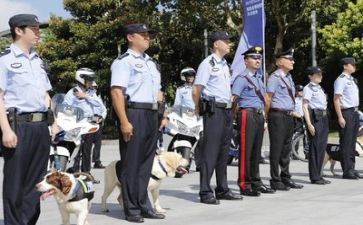 警察个人总结工作总结6篇