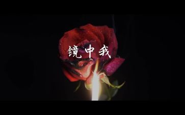 镜中的我作文600字6篇