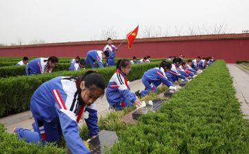 单位清明祭扫活动方案5篇