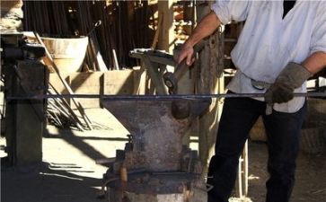 体育专业技术工作总结6篇