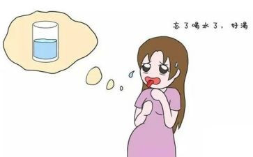 我渴望自由作文精选6篇