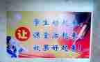 关于课改培训心得体会5篇