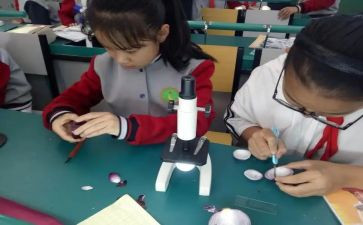 小班科学课教案模板6篇