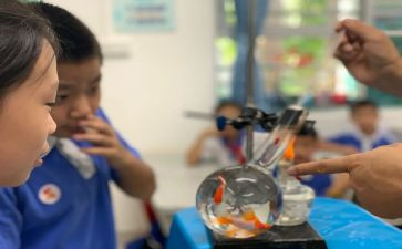 小学一年级科学课教案6篇