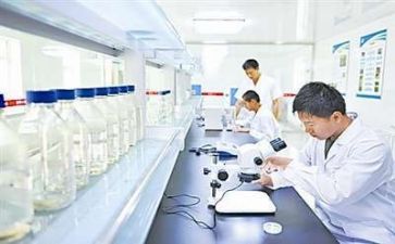 科研科工作计划参考7篇