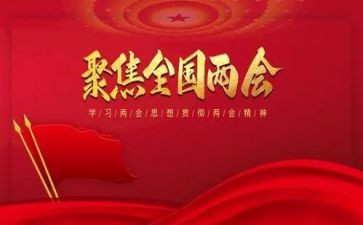19年两会精神的心得体会5篇