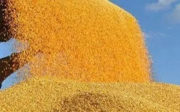 粮食中班教案5篇