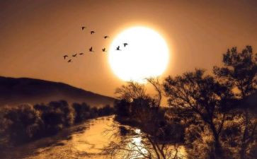 了不起的作文800字5篇