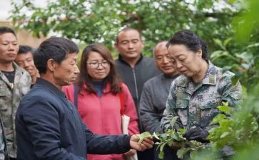 学习李保国心得体会6篇