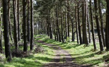 林地合同参考6篇