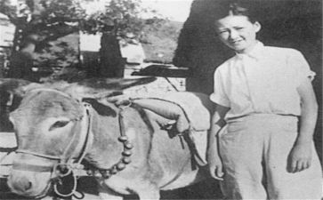 林徽因转读后感6篇