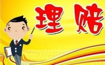 保险公司理赔年度工作总结5篇