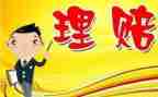 保险公司理赔年度工作总结5篇