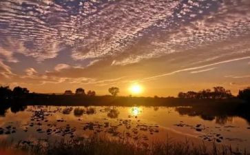 关于留恋母校的作文通用5篇