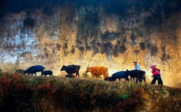 关爱留守儿童活动的总结模板6篇