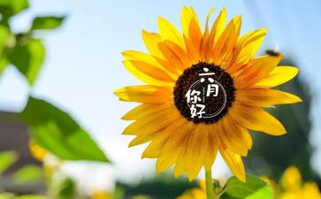 幼儿园小班六月份工作总结7篇