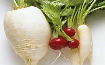 幼儿园萝卜教案7篇