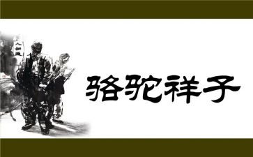 《骆驼祥子》读书心得体会600字6篇