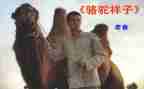 骆驼祥子15章读后感200字8篇