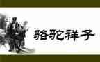《骆驼祥子》读书心得体会600字6篇