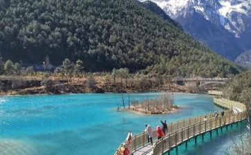 旅游心得体会作文8篇