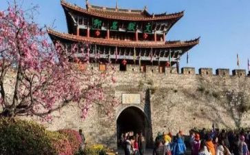 旅游组工作计划6篇