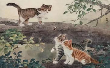 我是猫的演讲稿8篇