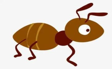 逗蚂蚁中班教案6篇