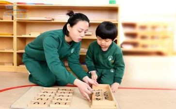 幼儿园蒙氏工作计划精选6篇