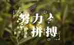 名人故事的小作文6篇