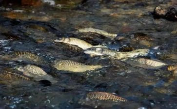 逆流的钟读后感5篇