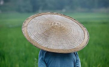 蛇与农夫的读后感推荐6篇