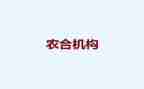 农合个人年度总结报告参考7篇