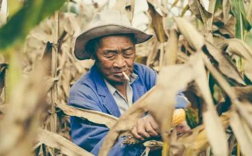 农民房建筑合同7篇