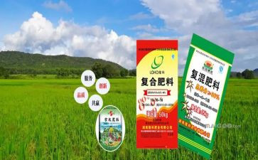涉农资金自查报告8篇