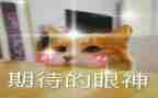 我期待的作文500字5篇