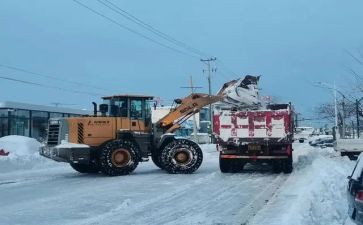 在梦想中起航作文最新5篇