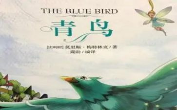 青鸟读后感优秀8篇