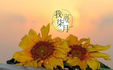 七月的工作计划7篇