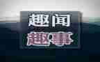 春节的趣事作文最新5篇