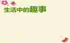 作文乡村的趣事通用6篇