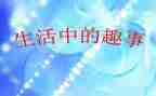 暑假乐趣事作文精选8篇