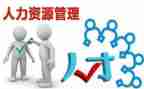 人力年工作计划精选8篇