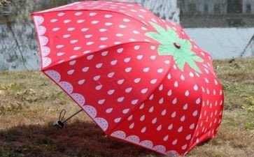 中班有关伞的教案参考5篇